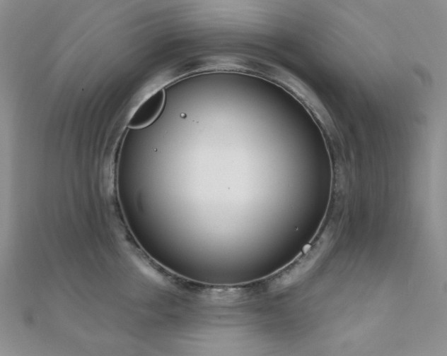 X0000110900858200906181321