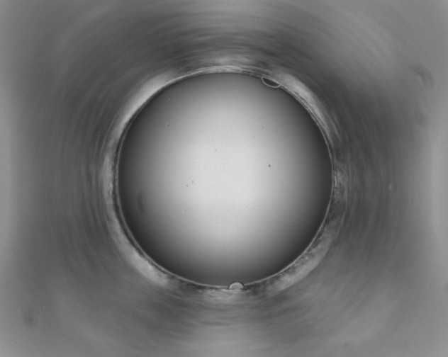 X0000110900859200906181321