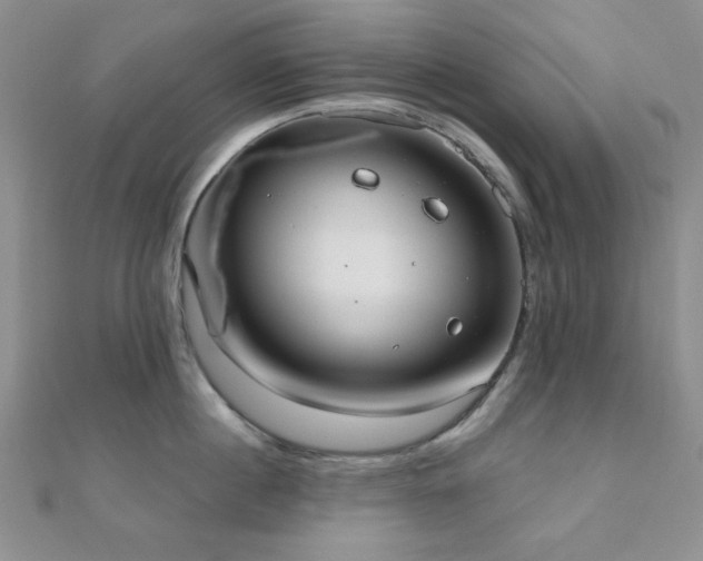 X0000110900860200906181321