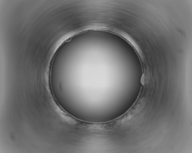 X0000110900861200906181321