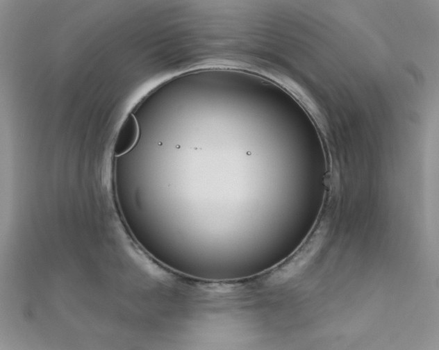 X0000110900862200906181321
