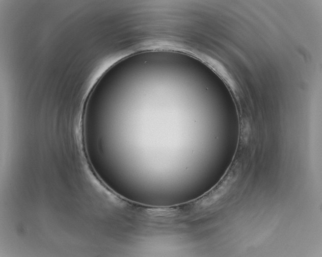 X0000110900863200906181321