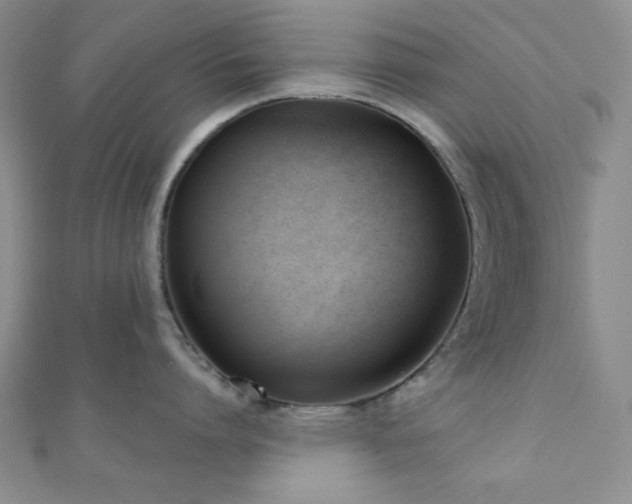 X0000110900864200906181321