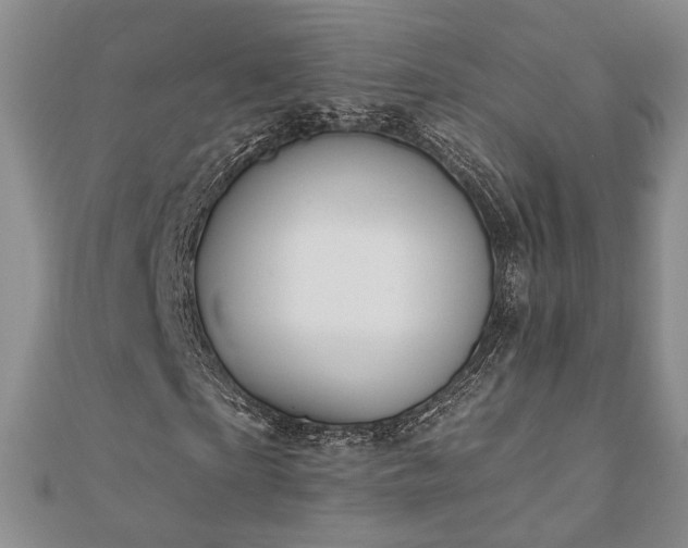 X0000110900865200906181321