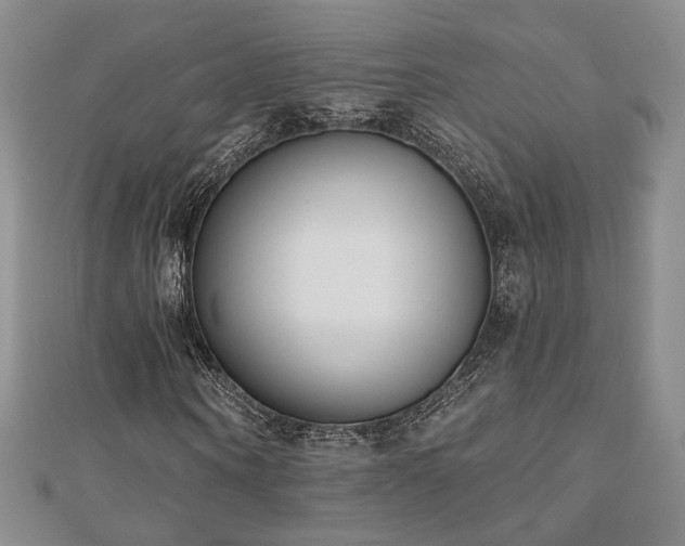 X0000110900866200906181321