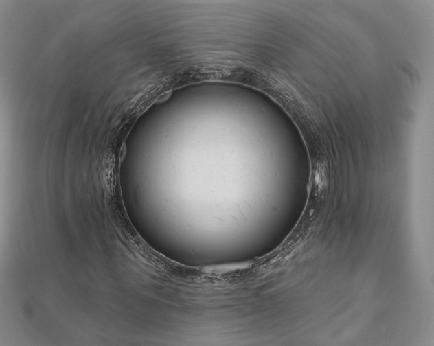 X0000110900867200906181321