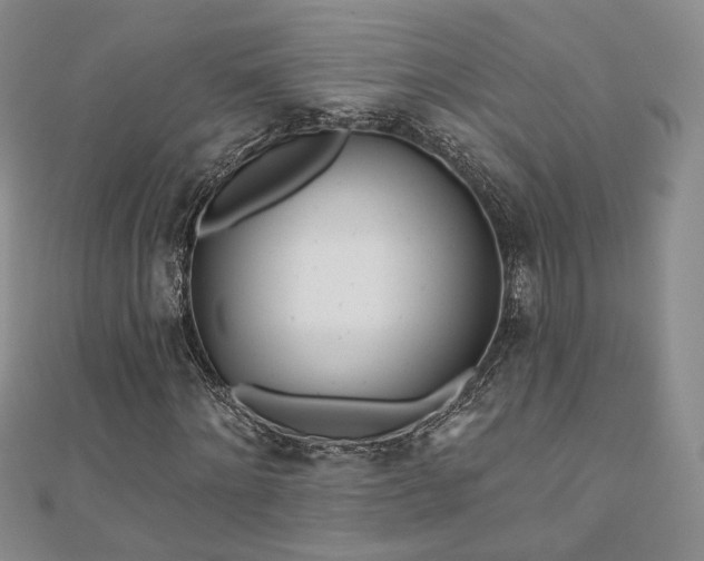 X0000110900868200906181321