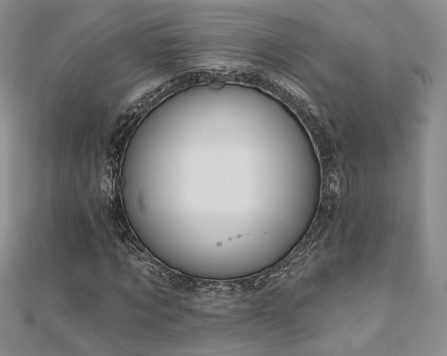 X0000110900869200906181321