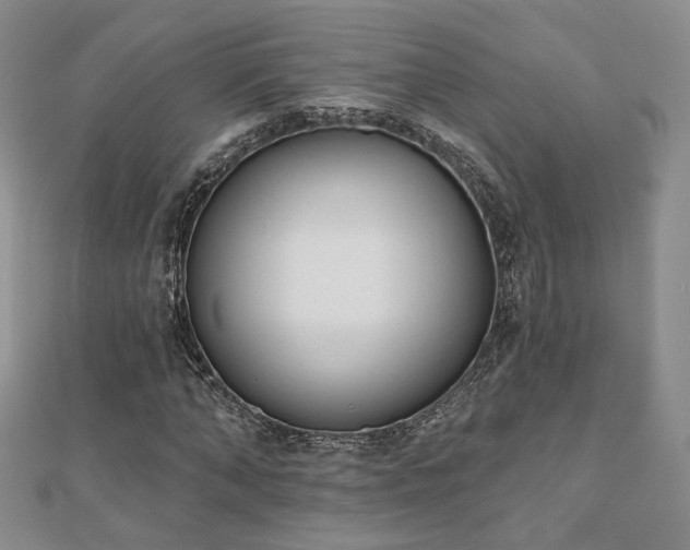 X0000110900870200906181321