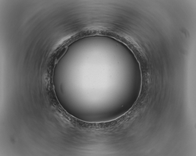 X0000110900872200906181320