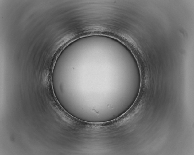 X0000110900873200906181320