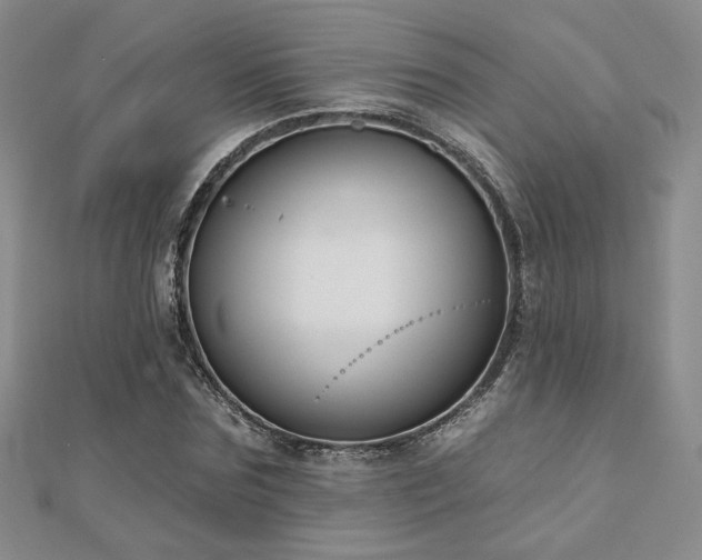 X0000110900875200906181320