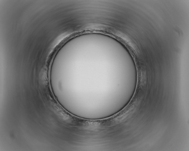 X0000110900878200906181320