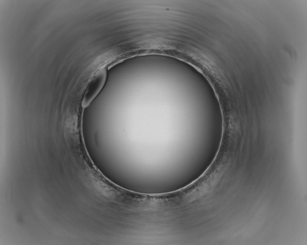 X0000110900881200906181320