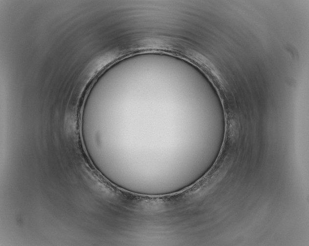 X0000110900882200906181320