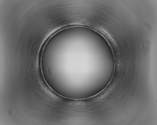 X0000110900884200906181320