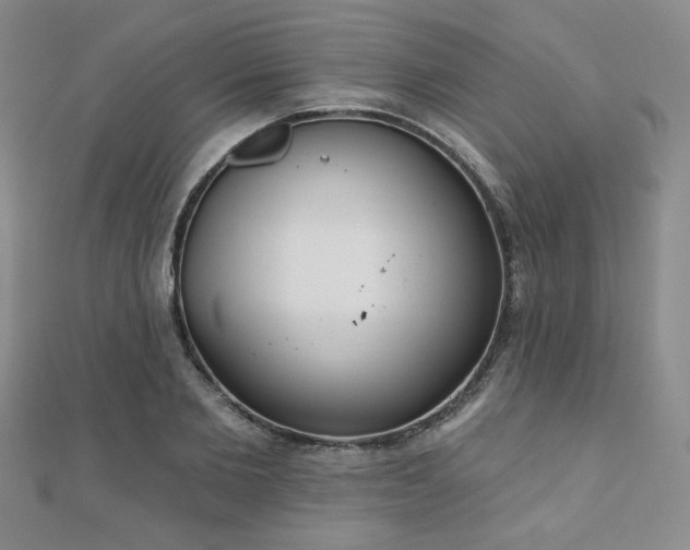 X0000110900885200906181320