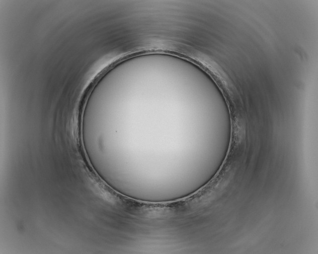 X0000110900886200906181320