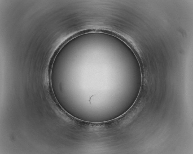 X0000110900887200906181320