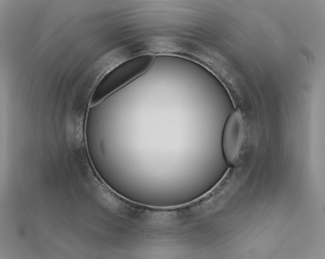 X0000110900889200906181320