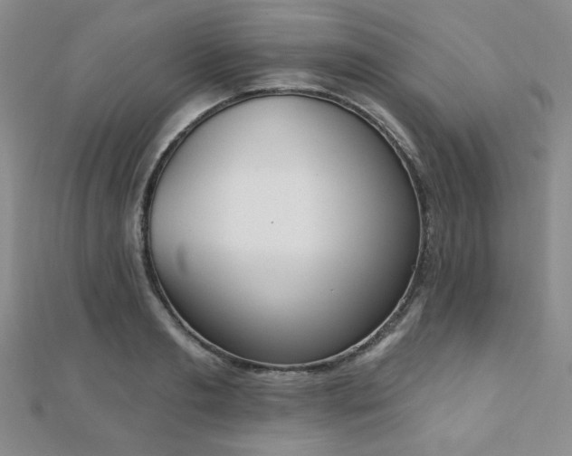 X0000110900893200906181320