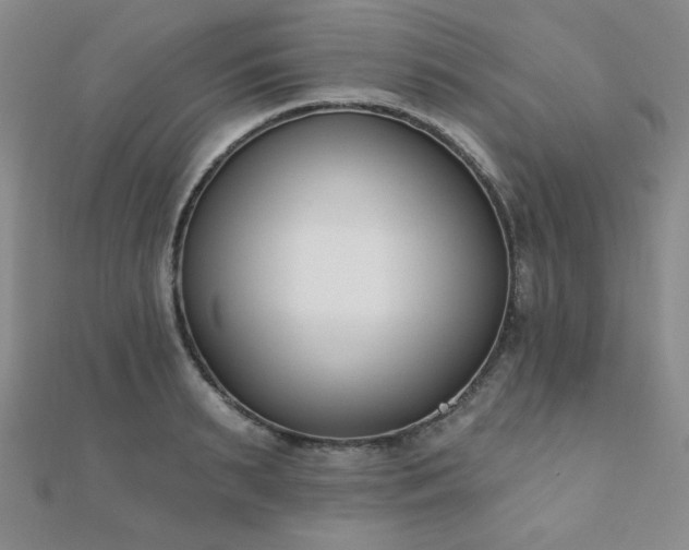 X0000110900895200906181320