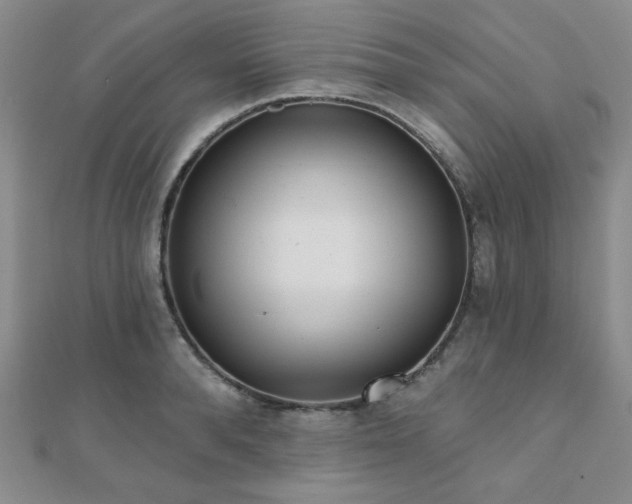 X0000110900896200906181320