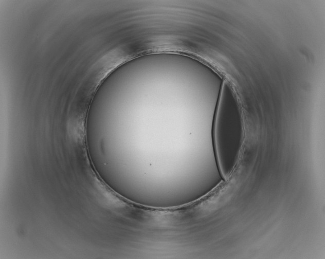 X0000110900897200906181320
