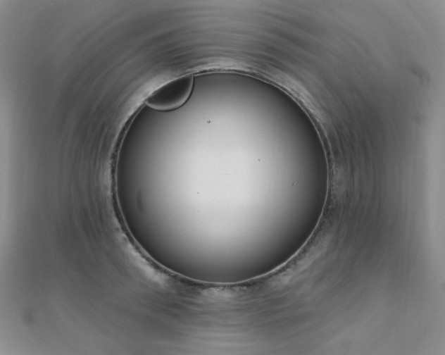 X0000110900898200906181320
