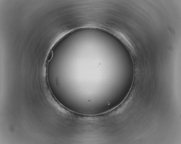 X0000110900900200906181320