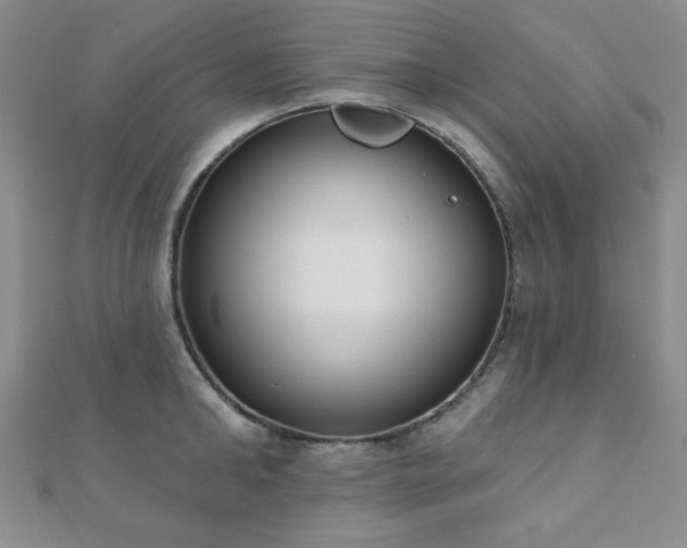 X0000110900902200906181320