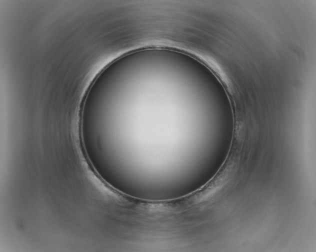 X0000110900903200906181320