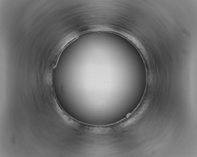 X0000110900905200906181320