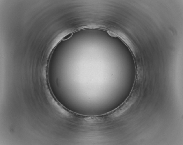 X0000110900906200906181320