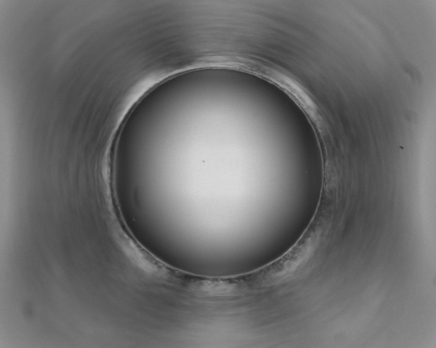 X0000110900907200906181320