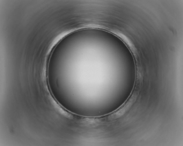 X0000110900910200906181320