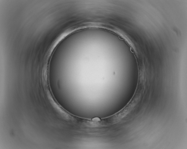 X0000110900911200906181320