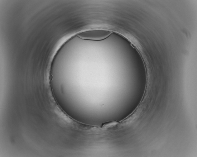 X0000110900912200906181320