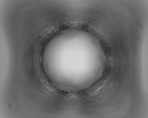 X0000110900913200906181319