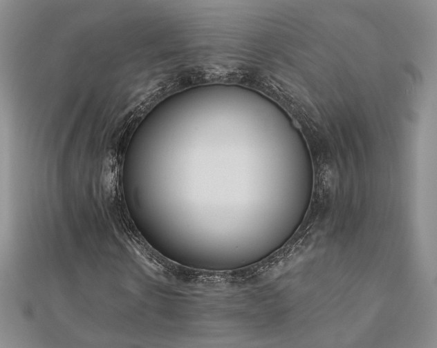 X0000110900914200906181319