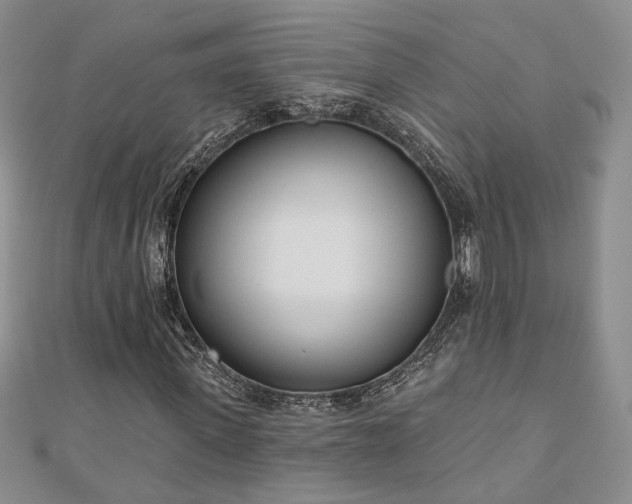 X0000110900915200906181319