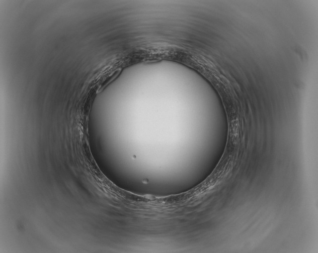 X0000110900916200906181319