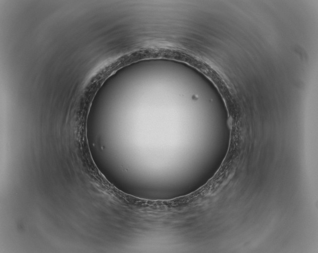 X0000110900919200906181319