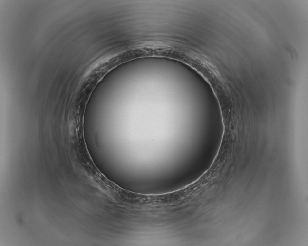 X0000110900920200906181319