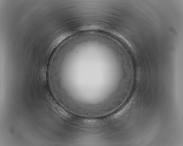 X0000110900921200906181319