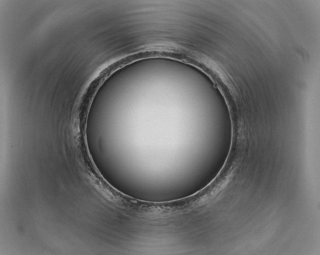 X0000110900923200906181319