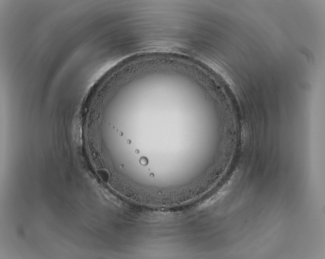 X0000110900925200906181319