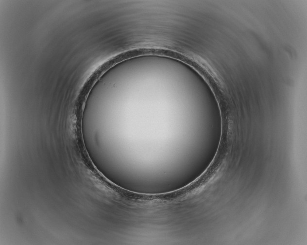 X0000110900926200906181320