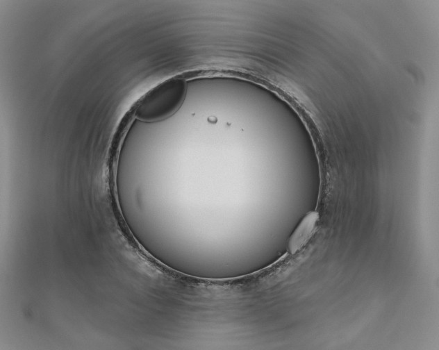 X0000110900928200906181320