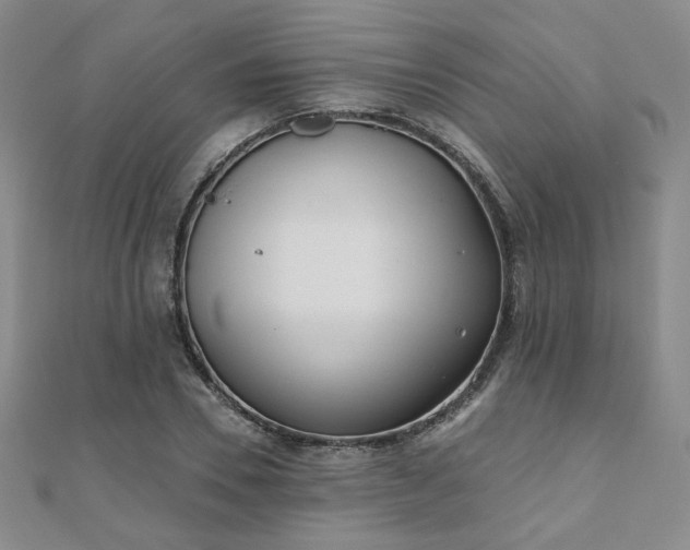 X0000110900930200906181320